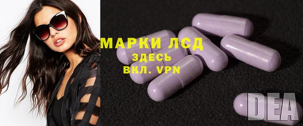 прущие грибы Аркадак
