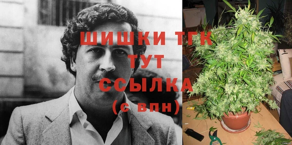 прущие грибы Аркадак