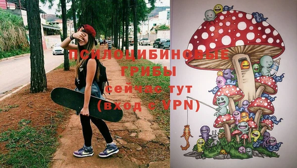 jwh Арсеньев