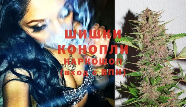 прущие грибы Аркадак