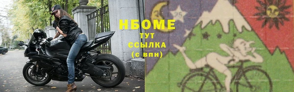 прущие грибы Аркадак