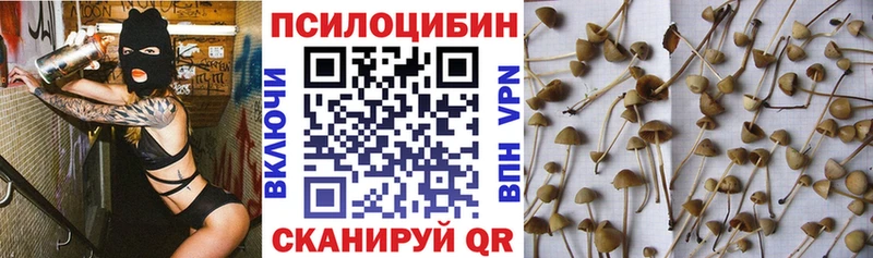 MEGA ССЫЛКА  Могоча  Псилоцибиновые грибы Magic Shrooms 